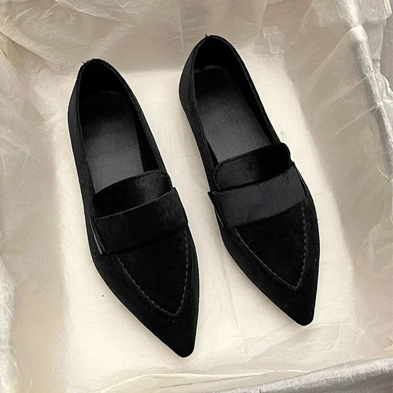 Women Flats Ballet Dance Pointed Toe Sandals Shoes 2024 Spring New Designer Loafers Shoes Suede Casual Sport Walking