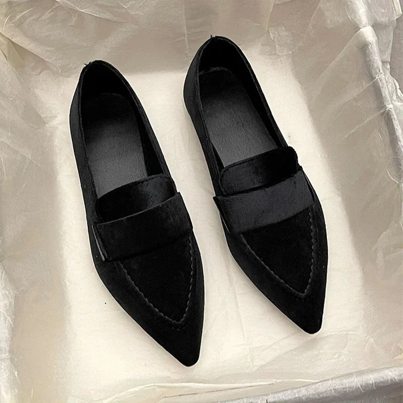 Women Flats Ballet Dance Pointed Toe Sandals Shoes 2024 Spring New Designer Loafers Shoes Suede Casual Sport Walking